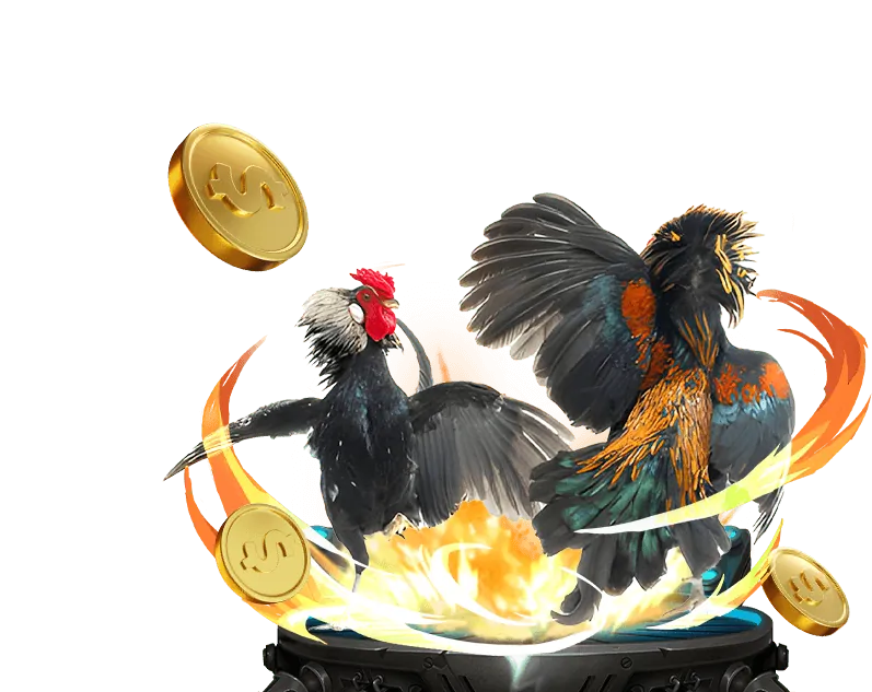 Tin tức khuyến mãi rw88